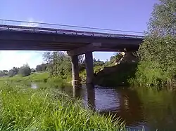 Река Шарженьга вблизи д. Логдуз. Июнь 2011.