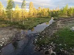 Вид против течения