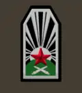 нарукавный знак 1922