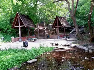 Родник Маришка