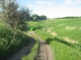 Дорога к Холодному Ключу