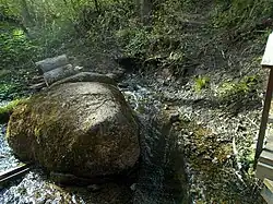 Один из родников дающих начало Лопухинке