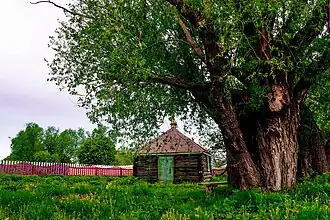 Святой источник Параскевы Мученицы.