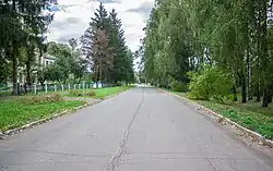 Центральная улица