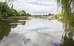 Пруд на реке Романовка