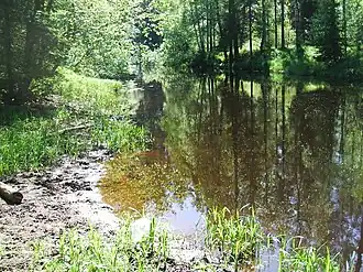 Река Рощинка