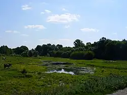 вид на реку в селе Павловка