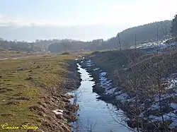 Река Шопинка