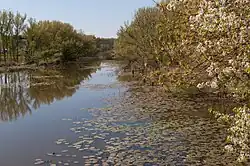 Река в пределах села Мягкоход