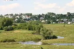 Гнезна у посёлка Великие Борки