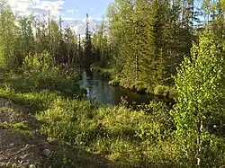 Вид против течения