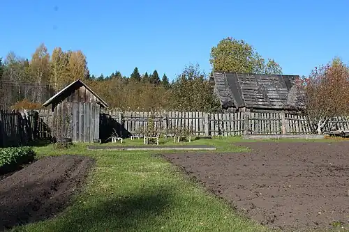 Сарай, забор, огород и дома