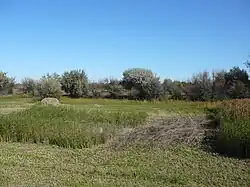 Недалеко от истока Саратовки