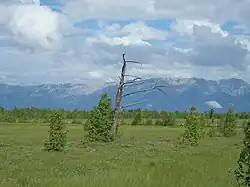 Панорама гор