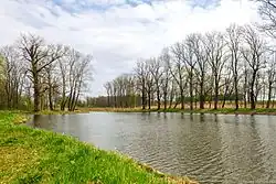 Один из прудов парка.