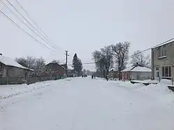 Вився зимой