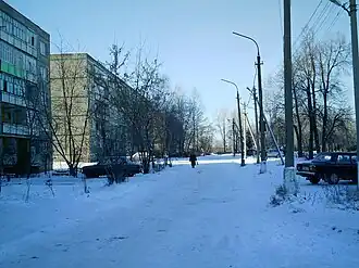 Улица села Починки