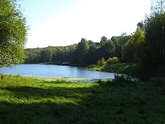 Светлоярское озеро