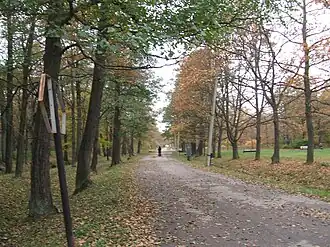 Главная аллея парка «Дубки» с видом на Финский залив