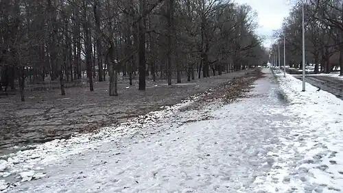 Главная аллея парка Дубки