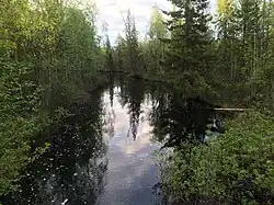 Вид по течению