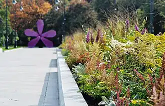 Сиреневый сад