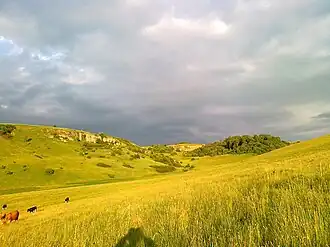 Скала у села Межигорцы