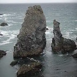 Скалы во время отлива. Фото, лето 2017