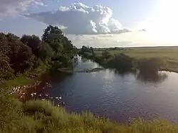 Случь возле д. Новый Двор