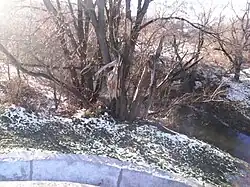 Снежеть близ трассы Р120