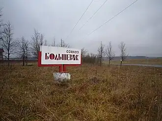 Совхоз «Большевик»