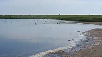 Солонец-Тузлы летом 2015 года.