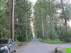 Спортивная улица - вид от Приморского шоссе в сторону залива