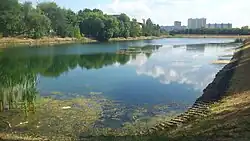 Средний Фермский пруд, 2014 год