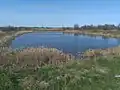 Один из прудов в селе