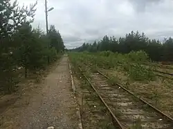 Вид на юг. Пассажирская платформа.