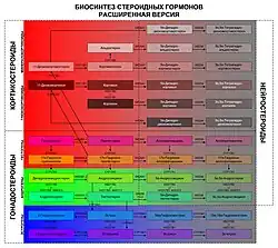 Стероидогенез