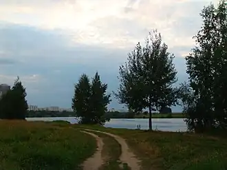 Строгинская пойма в 2009 году