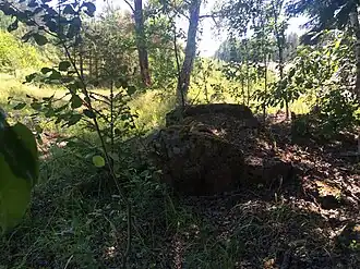 Ступени финского вокзала