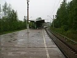 Платформа станции, боковой путь, вид в сторону Сестрорецка