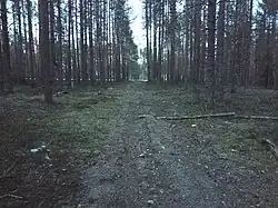 Первый разобранный путь. Вид на юг.