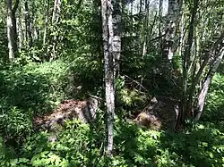 Заросшая грузовая платформа.