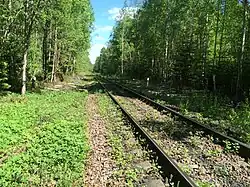 Разобранные боковые пути. Вид в сторону ст. Вяртсиля.