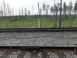 Болото возле станции.