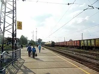 Станция Чайковская