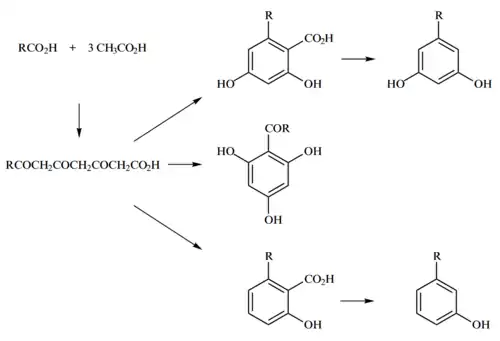 Рис.2. Схема синтеза фенольных соединений в процессе биосинтеза