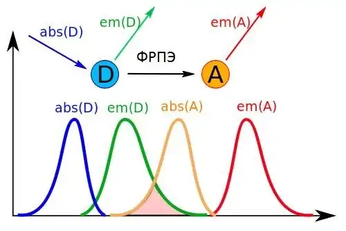 Fret — emission spectra scheme.svg