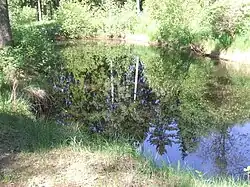 Пруд в саду