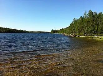 Залив Ламбашгуба на северо-востоке озера Топозеро летом 2011 года