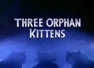 Титульная карточка